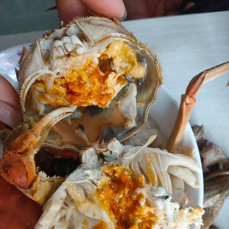绿庭弘兴化大闸蟹