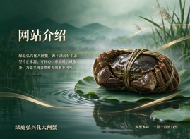 网站介绍