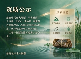 资质公示