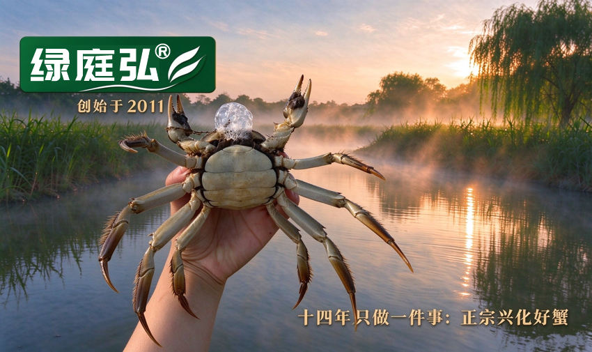 绿庭弘大闸蟹