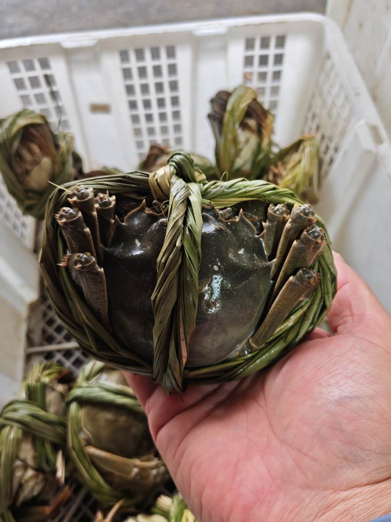 兴化大闸蟹